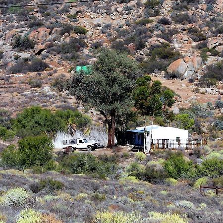 Middelkraal Accommodation Garies المظهر الخارجي الصورة